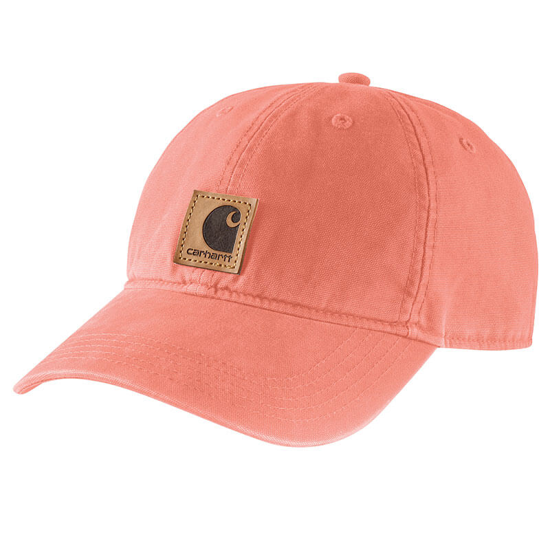 100289 - Carhartt Canvas Cap